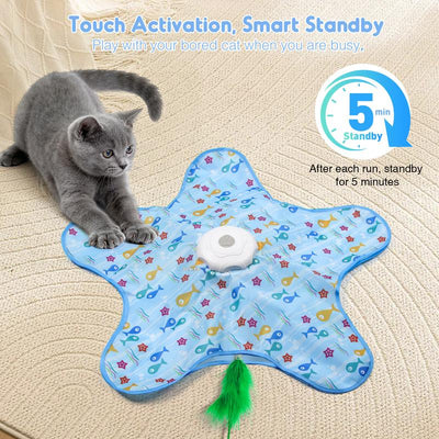 Hide & Seek Cat Toy