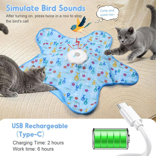 Hide & Seek Cat Toy