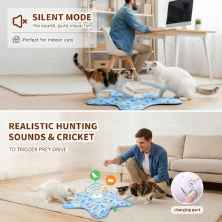 Hide & Seek Cat Toy