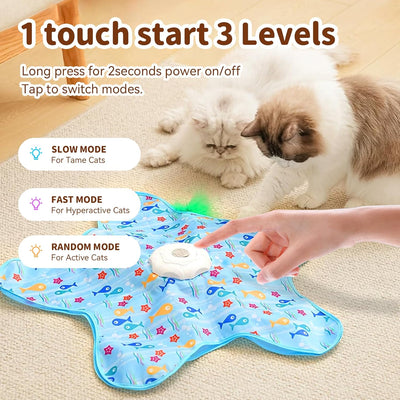 Hide & Seek Cat Toy