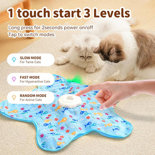 Hide & Seek Cat Toy