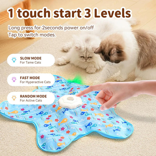 Hide & Seek Cat Toy