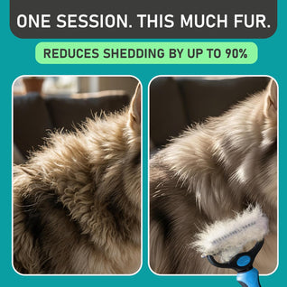 Double Sided Grooming Brush