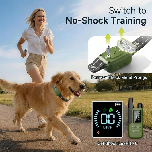 Dog Training Collar