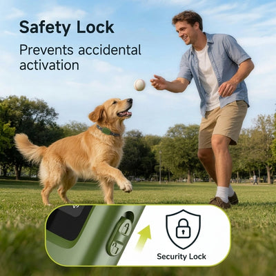 Dog Training Collar