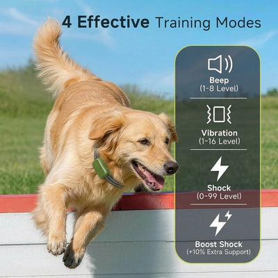 Dog Training Collar