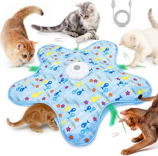 Hide & Seek Cat Toy