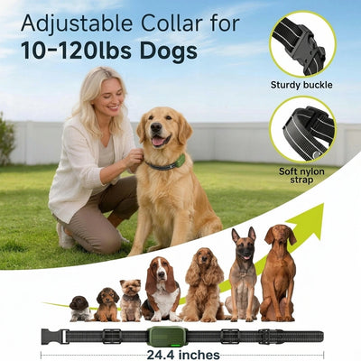 Dog Training Collar