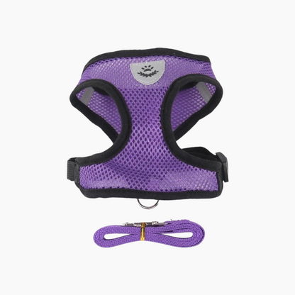 Cat Harness with Leash