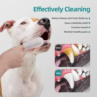 Pet Dental Finger Wipes