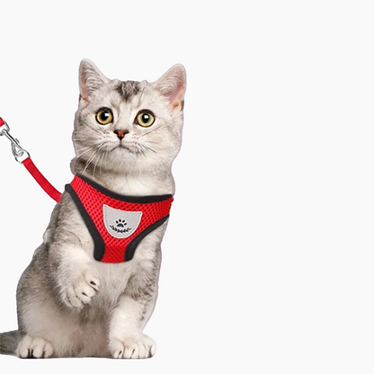 Cat Harness with Leash