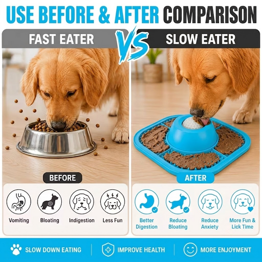 2-in-1 Dog Lick Bowl