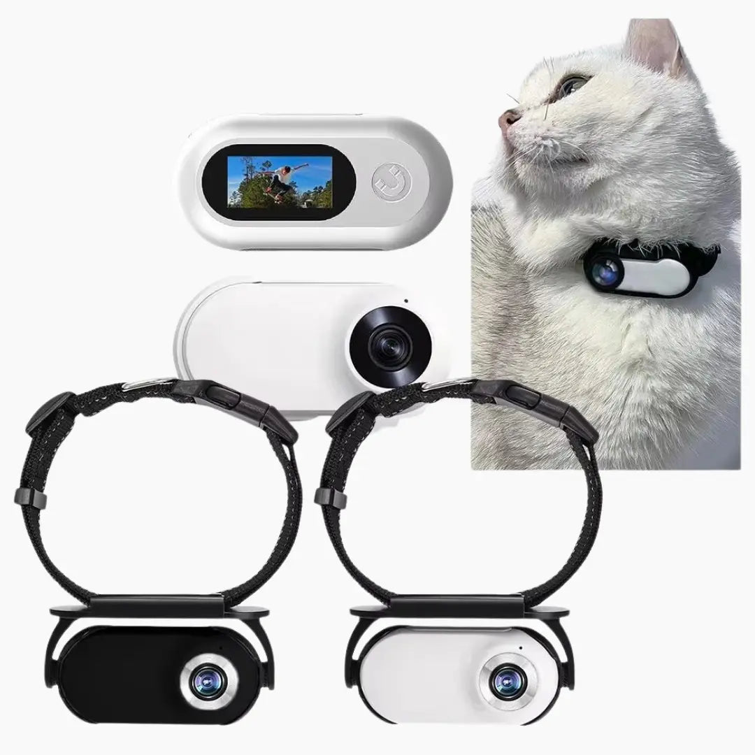 Cat HD Camera Collar