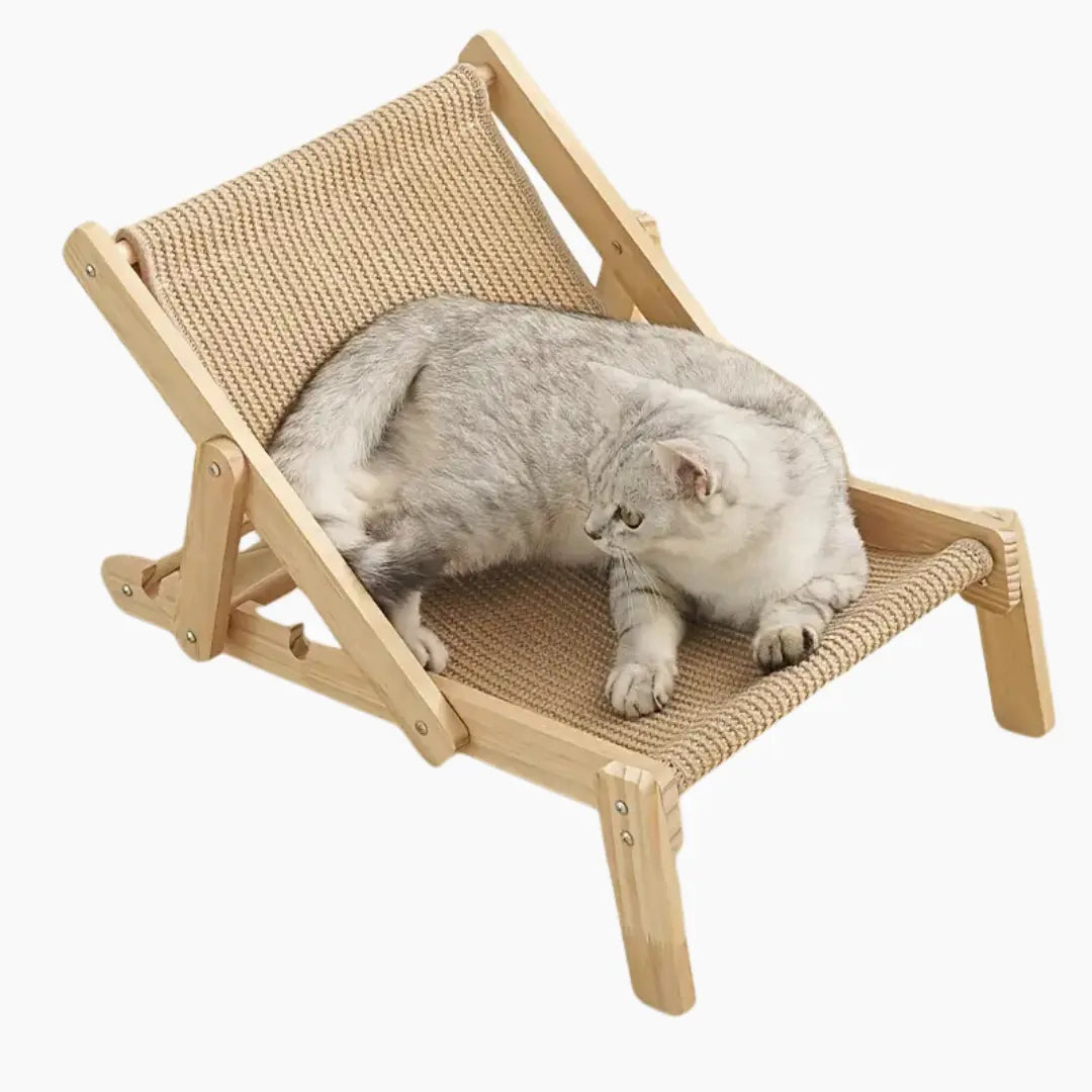 Adjustable Sisal Cat Scratcher Lounge