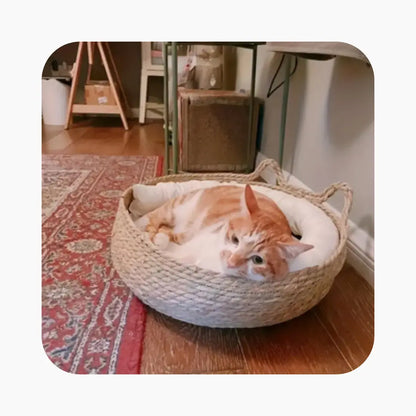 Rattan Cat Bed With Removable Cushion