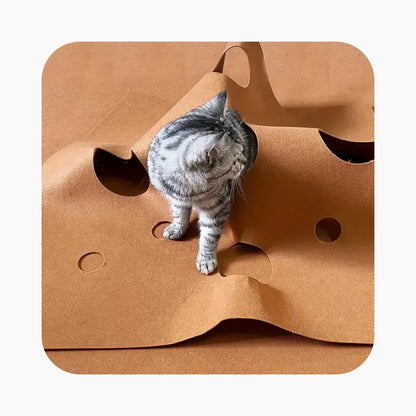 Cat Activity Play Mat