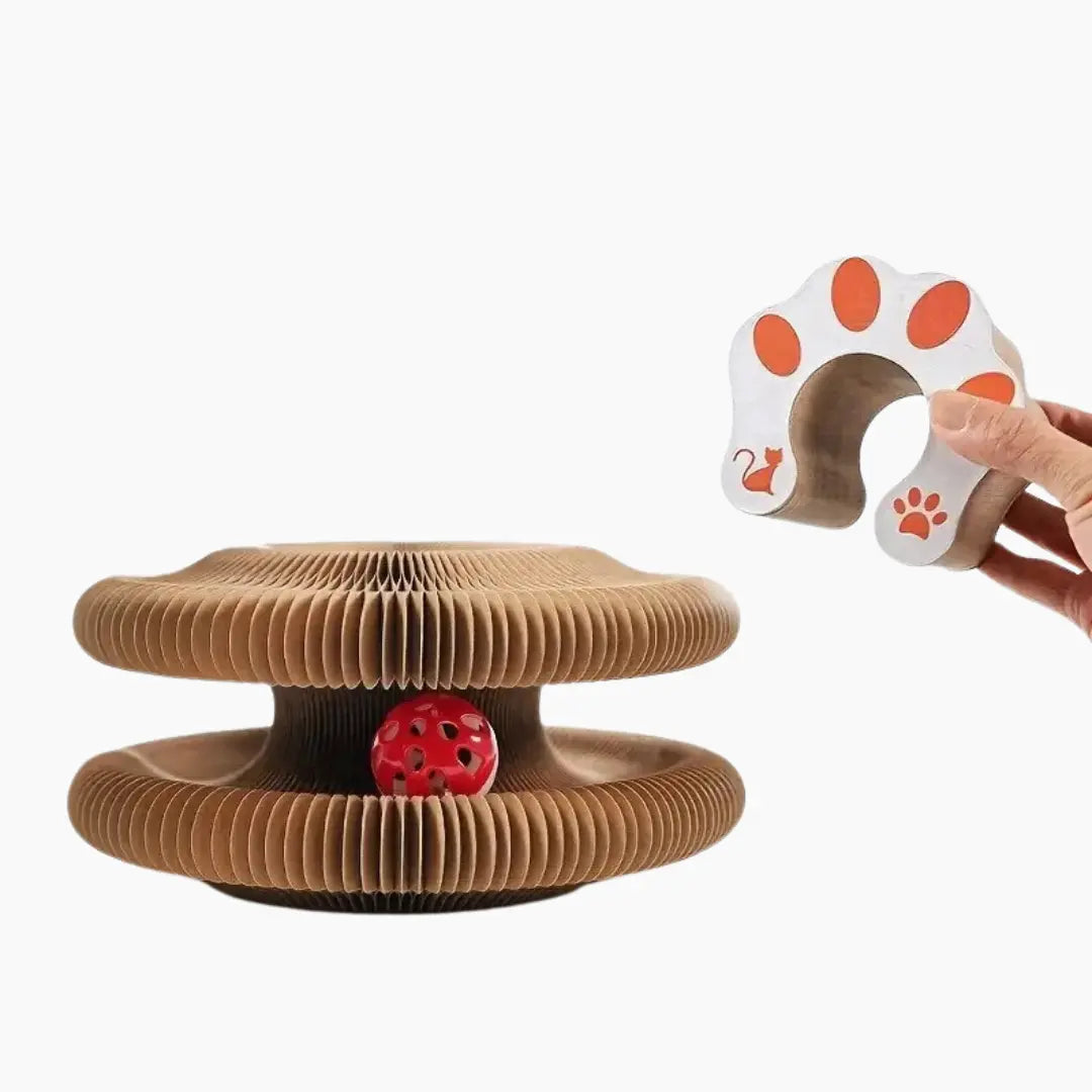 Interactive Scratching Accordion Toy