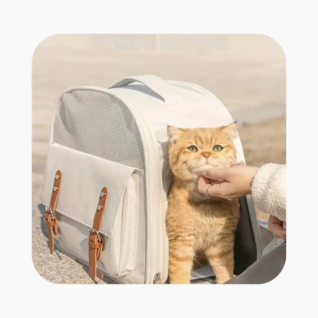 Breathable Cat Carrier Bag