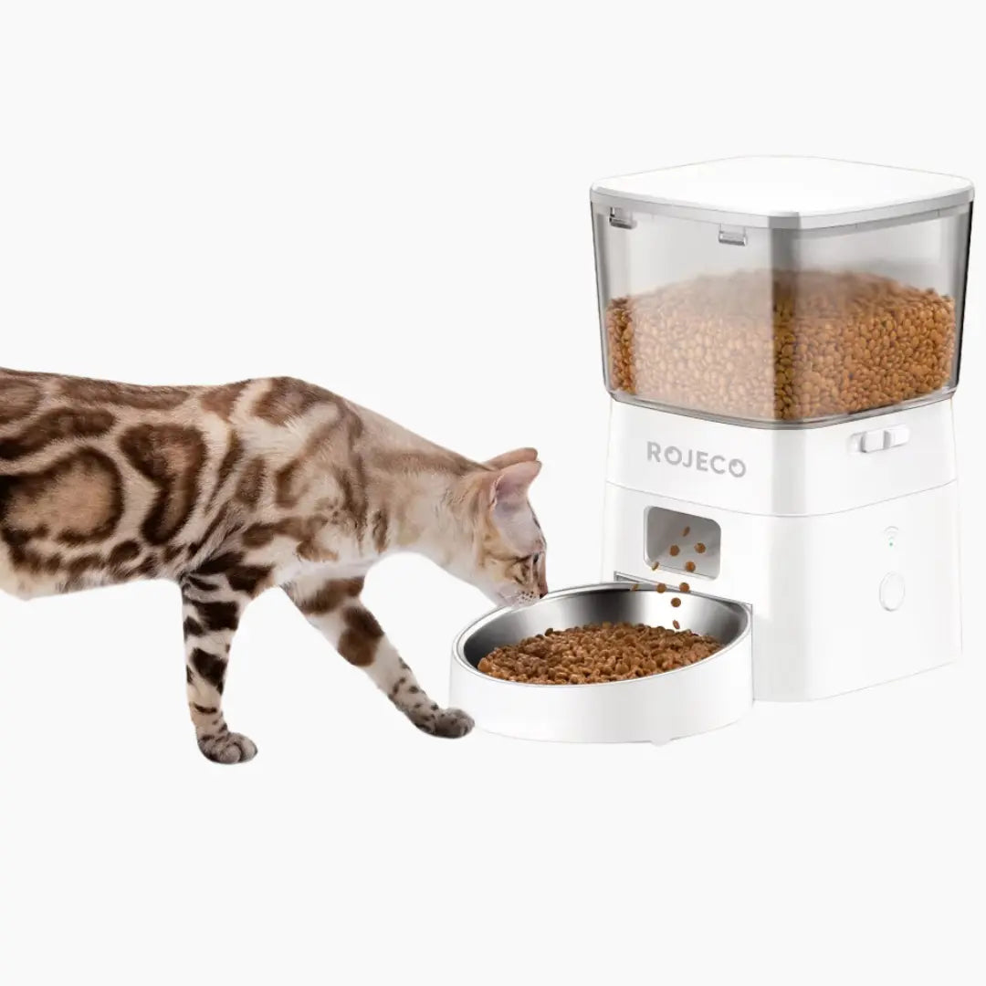 Smart Automatic Feeder