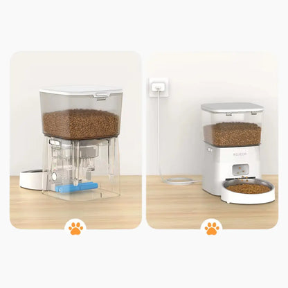 Smart Automatic Feeder