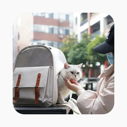 Breathable Cat Carrier Bag