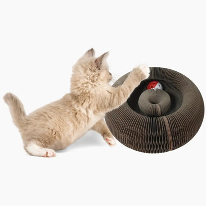 Interactive Scratching Accordion Toy