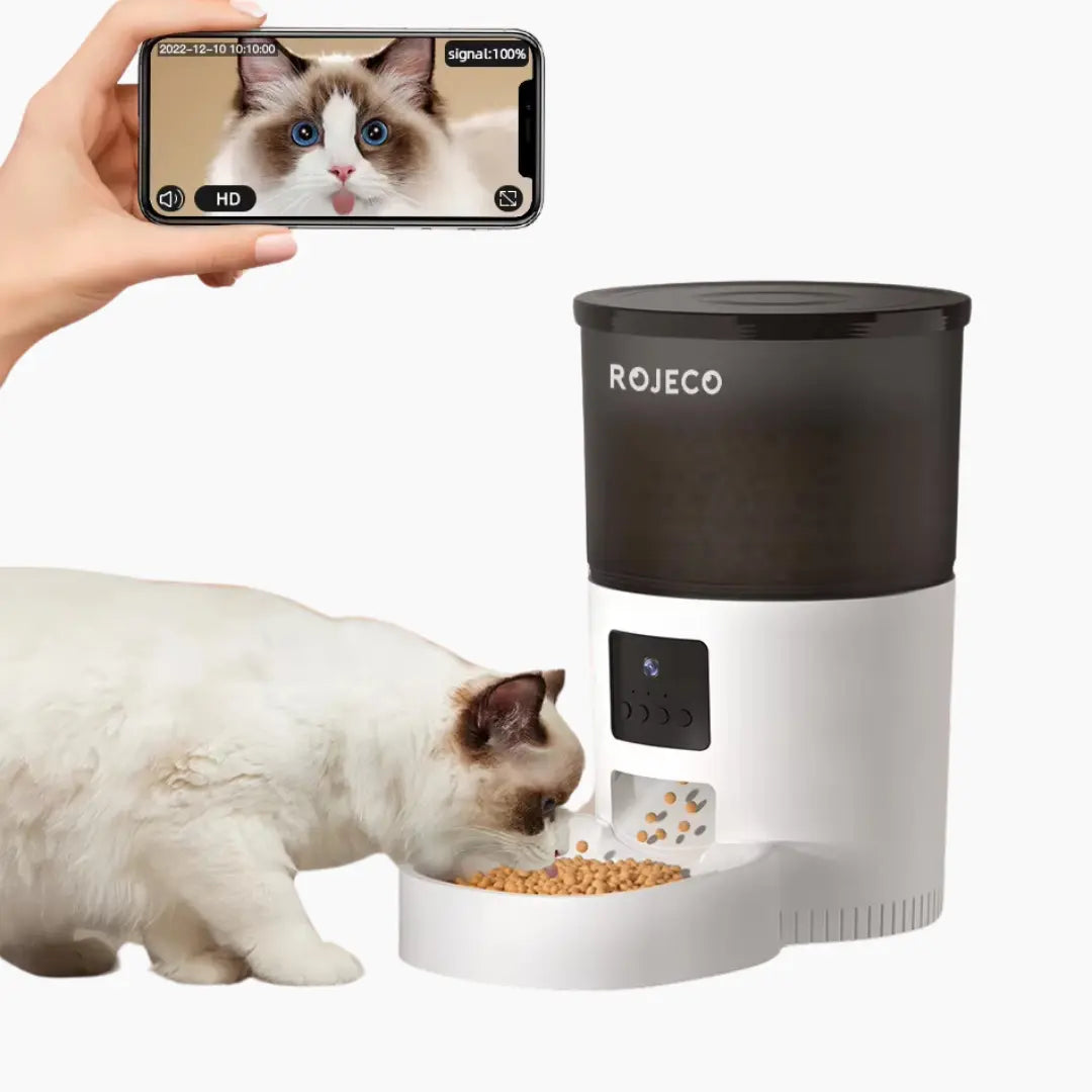 Automatic Cat Feeder With Camera Video