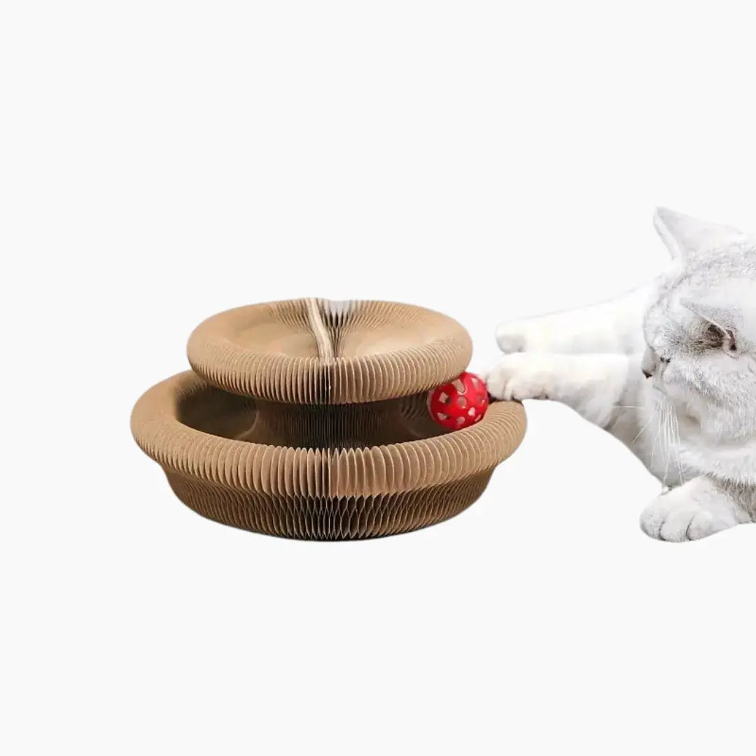 Interactive Scratching Accordion Toy