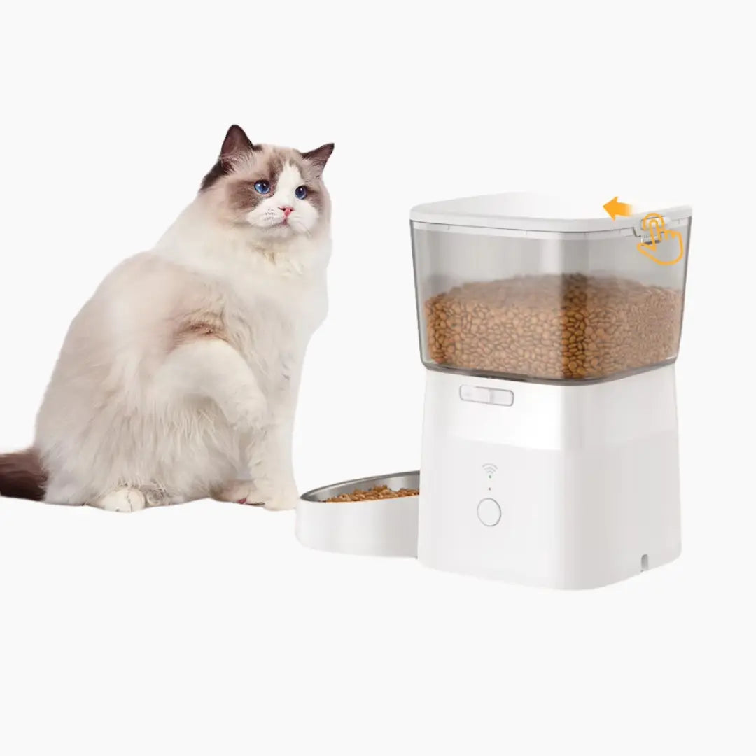 Smart Automatic Feeder