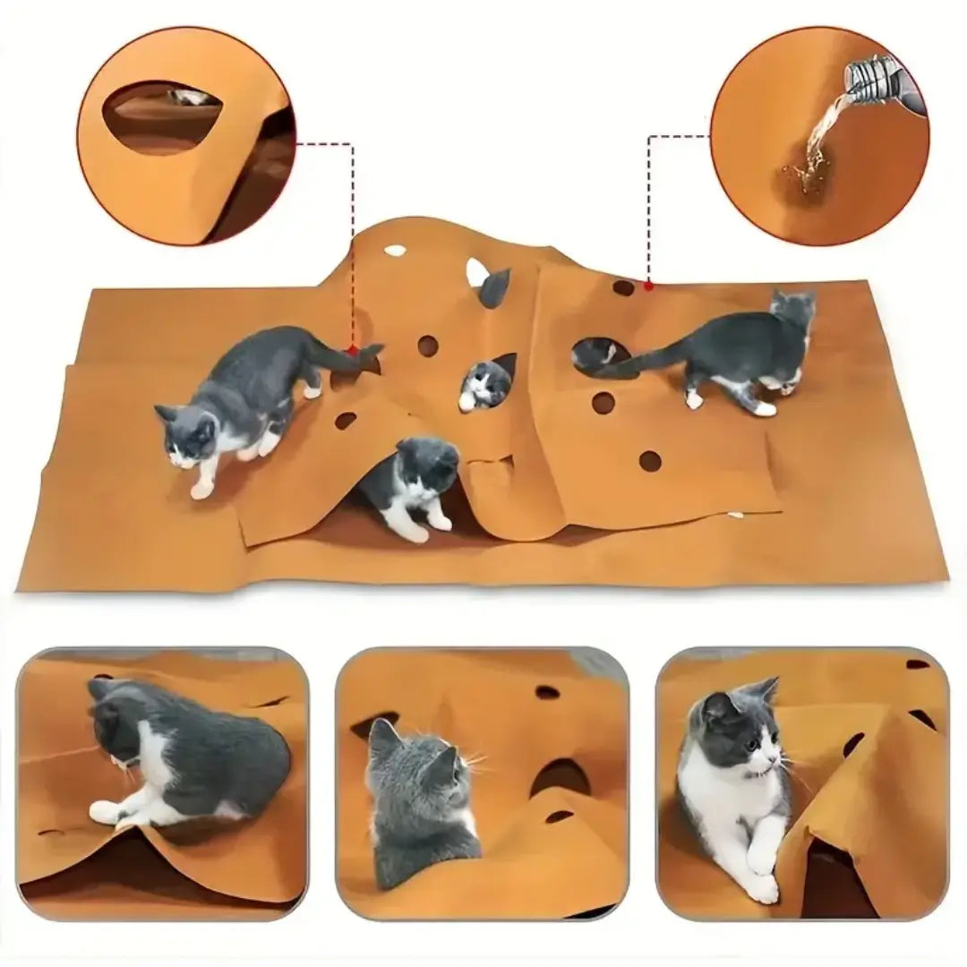 Cat Activity Play Mat