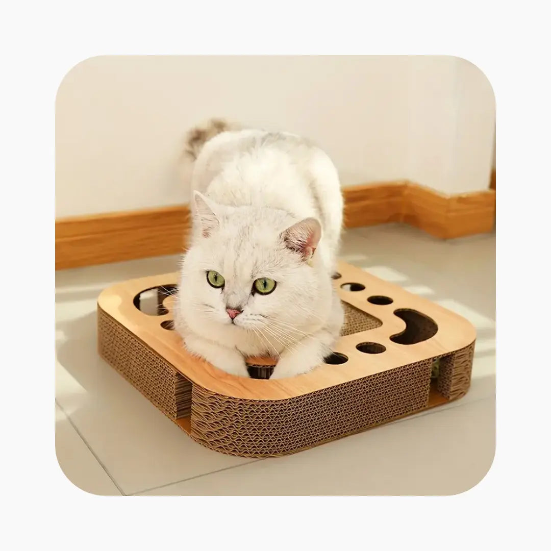 Interactive Cat Scratcher with Teaser Ball