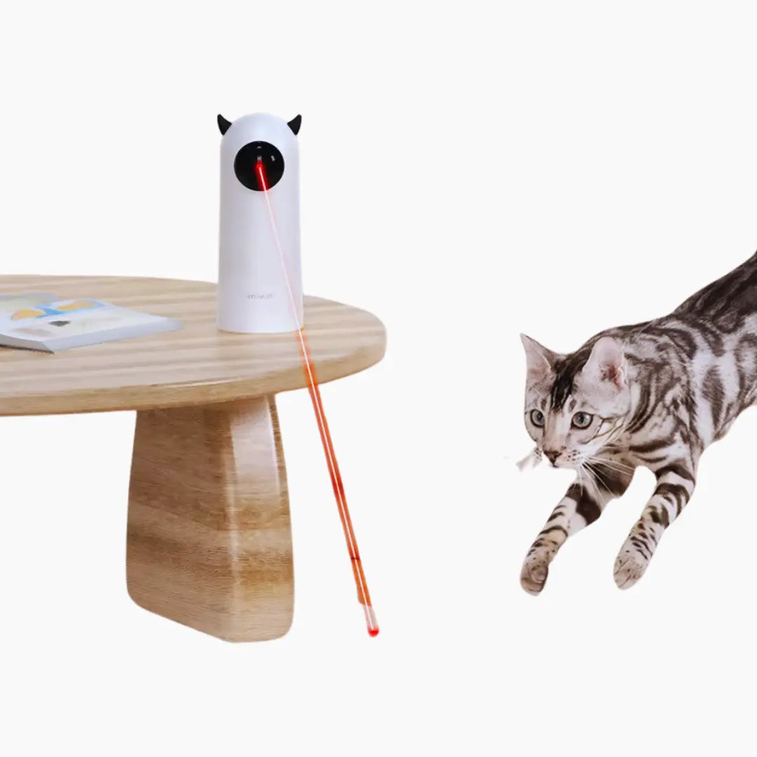 Automatic Devil Laser Cat Toy